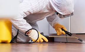 Best Pest Exclusion Services  in East Atlantic Beach, NY